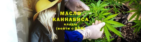 шишки Абаза