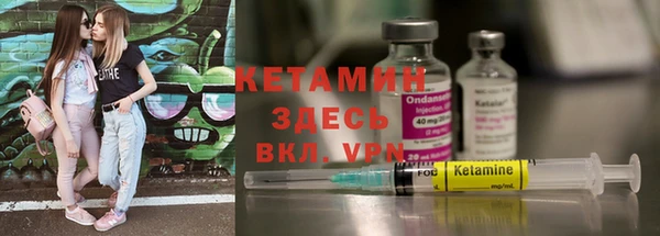 шишки Абаза