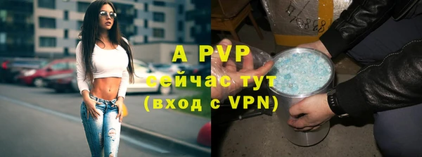 стафф Алексеевка
