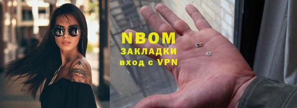 шишки Абаза