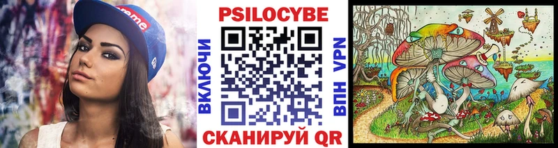 Псилоцибиновые грибы мицелий  где продают   Починок 