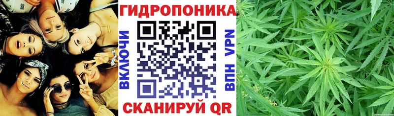 Бошки Шишки ГИДРОПОН hydra Починок